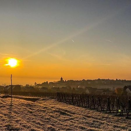 Villa Le Vent D'Ange Zellenberg Esterno foto