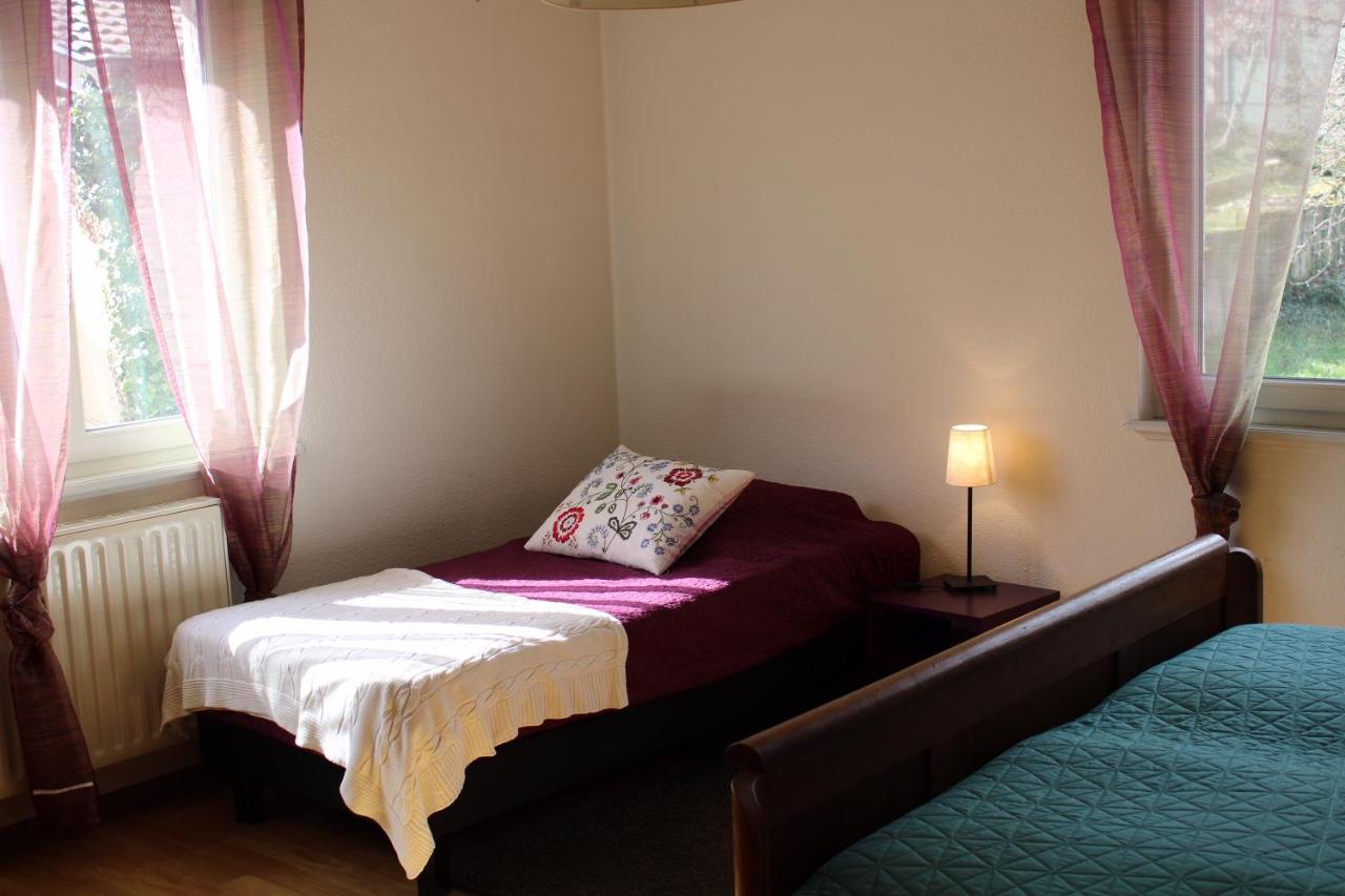Villa Le Vent D'Ange Zellenberg Esterno foto
