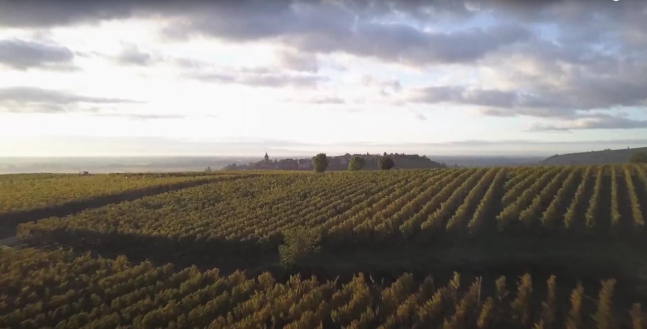 Villa Le Vent D'Ange Zellenberg Esterno foto