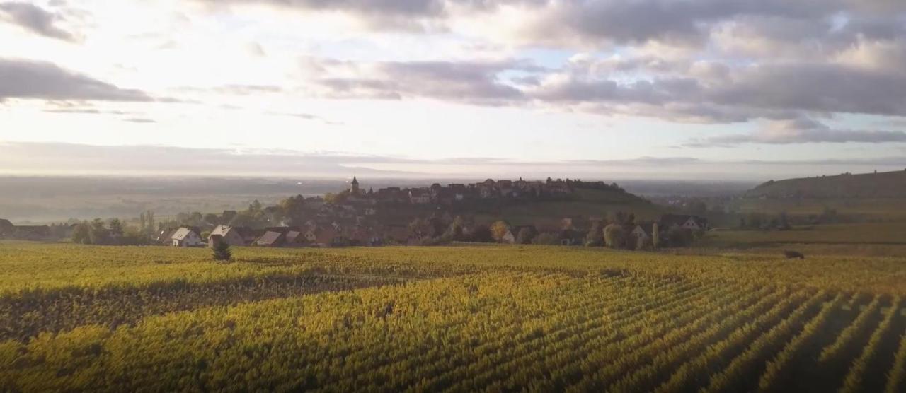 Villa Le Vent D'Ange Zellenberg Esterno foto